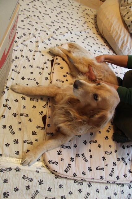 ファイル 2224-2.jpg