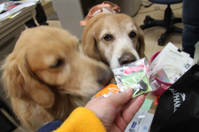 ファイル 2224-3.jpg