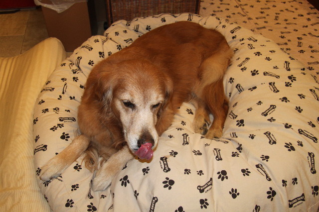 ファイル 2226-1.jpg