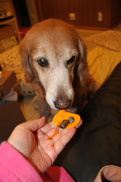 ファイル 2226-2.jpg