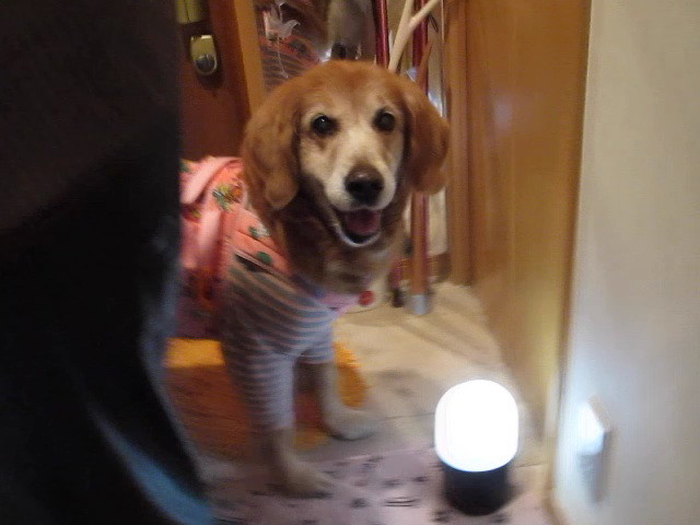 ファイル 2226-3.jpg