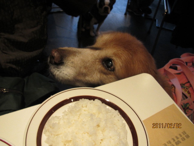 ファイル 2226-4.jpg