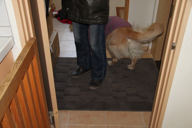 ファイル 2227-2.jpg