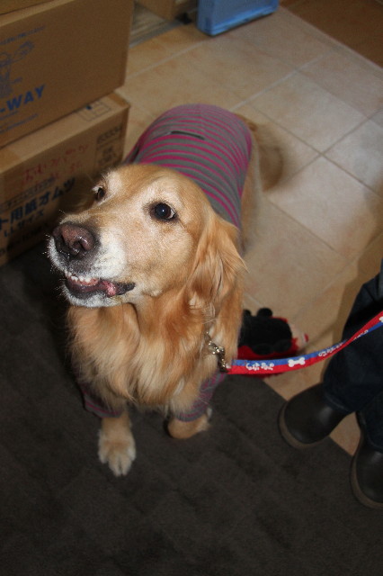 ファイル 2227-4.jpg