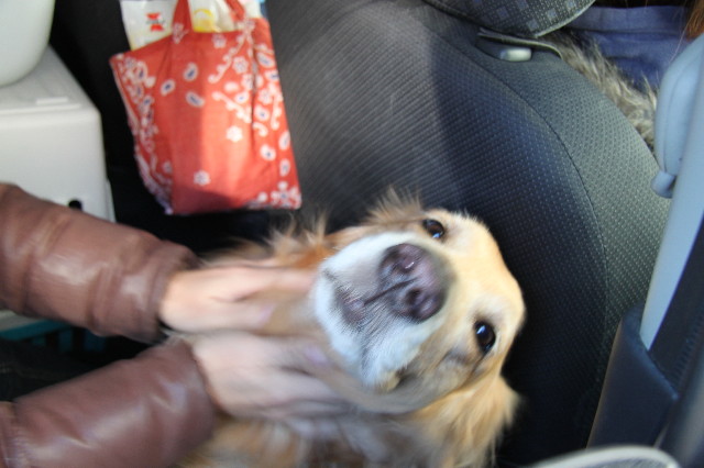 ファイル 2227-5.jpg