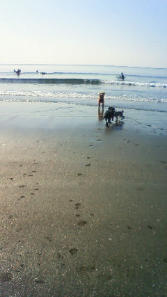 ファイル 2229-2.jpg