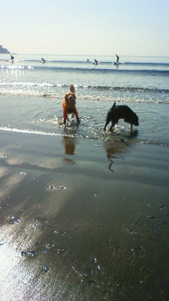 ファイル 2229-3.jpg