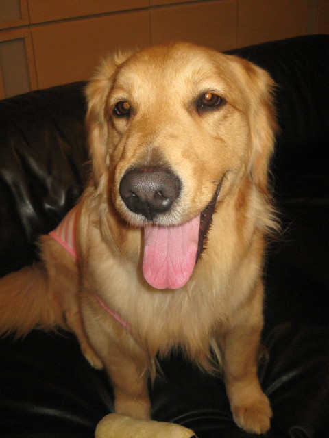 ファイル 223-5.jpg