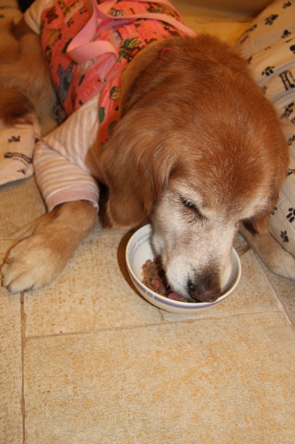 ファイル 2231-3.jpg