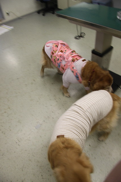 ファイル 2236-3.jpg