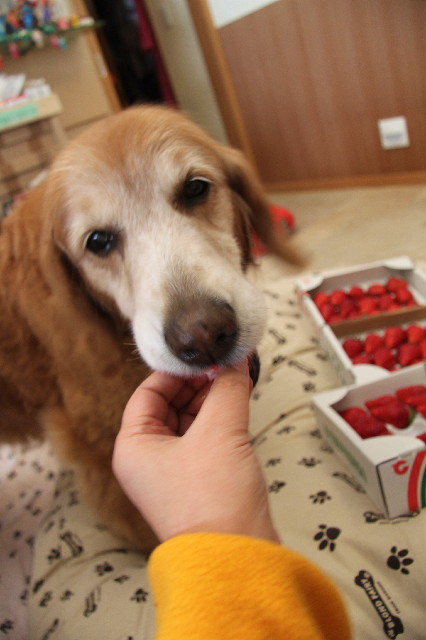 ファイル 2237-2.jpg