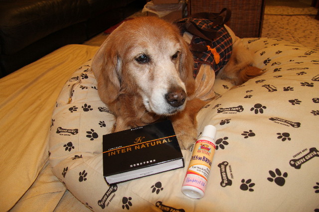 ファイル 2237-5.jpg