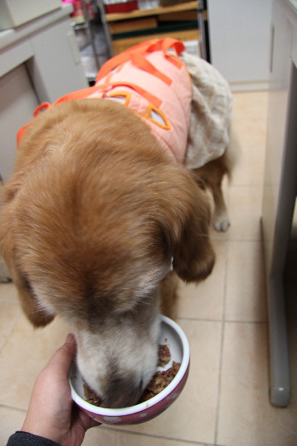 ファイル 2239-3.jpg