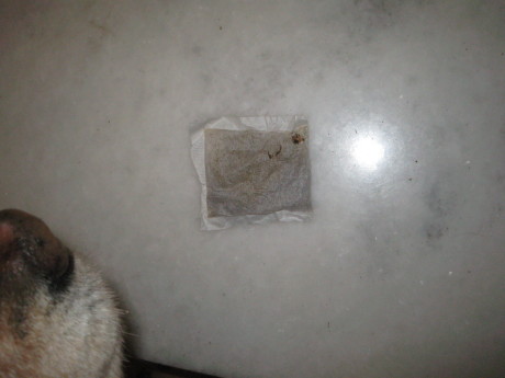 ファイル 224-5.jpg