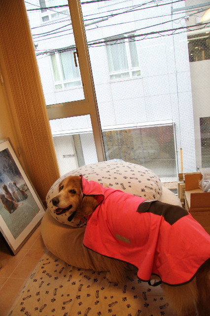 ファイル 2240-2.jpg