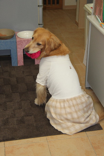 ファイル 2241-1.jpg