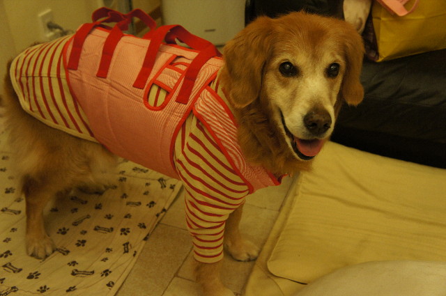 ファイル 2242-5.jpg