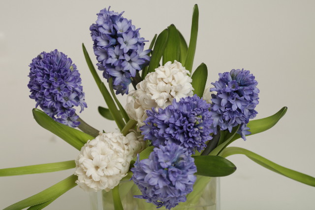 ファイル 2243-4.jpg