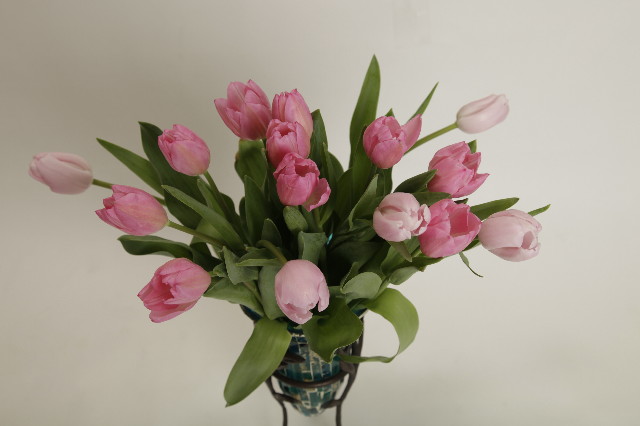 ファイル 2243-5.jpg