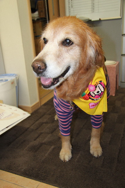 ファイル 2244-3.jpg