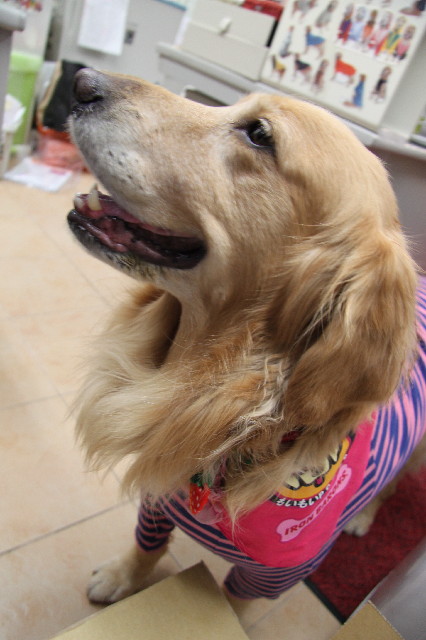 ファイル 2244-5.jpg