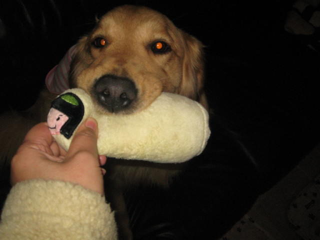 ファイル 225-1.jpg