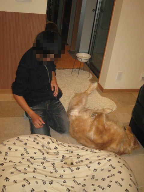 ファイル 225-3.jpg