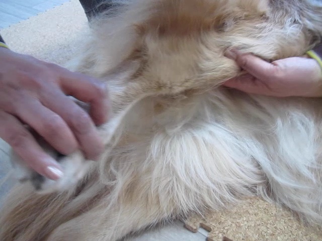 ファイル 2251-3.jpg