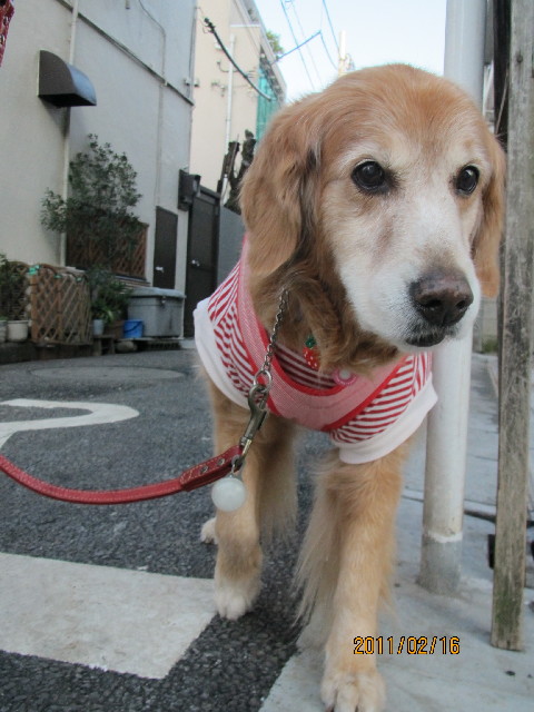 ファイル 2253-3.jpg