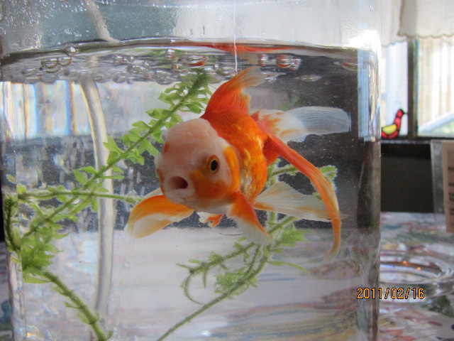 ファイル 2253-5.jpg