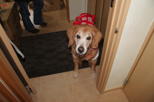 ファイル 2256-1.jpg