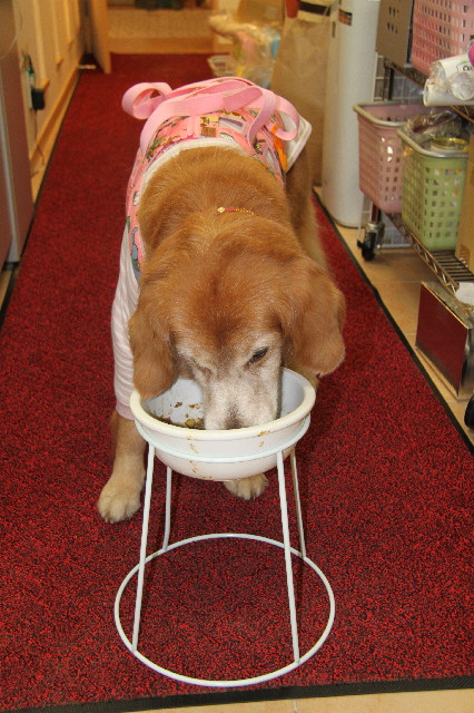 ファイル 2256-3.jpg