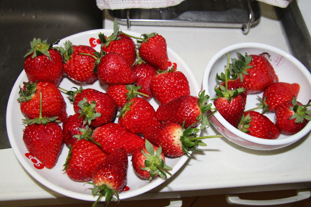 ファイル 2256-4.jpg