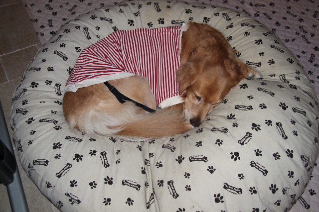 ファイル 2257-3.jpg