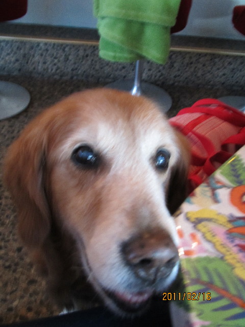 ファイル 2257-5.jpg