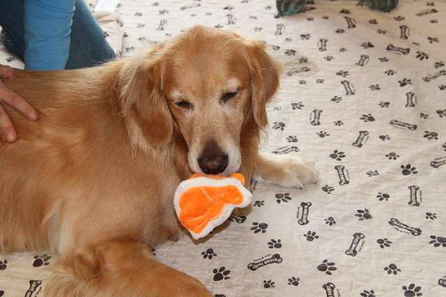 ファイル 2258-3.jpg