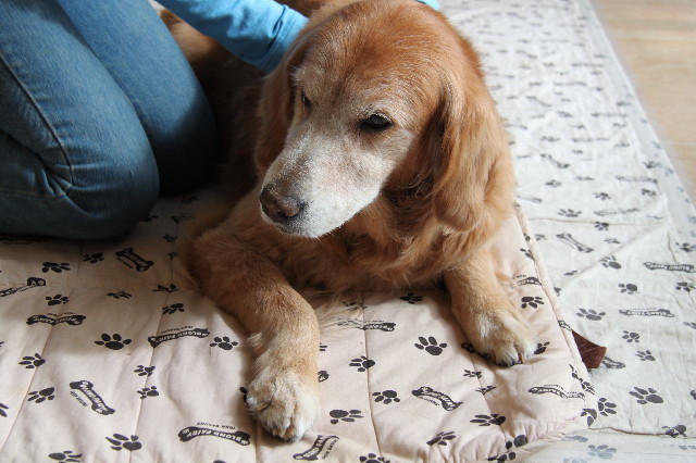 ファイル 2258-4.jpg