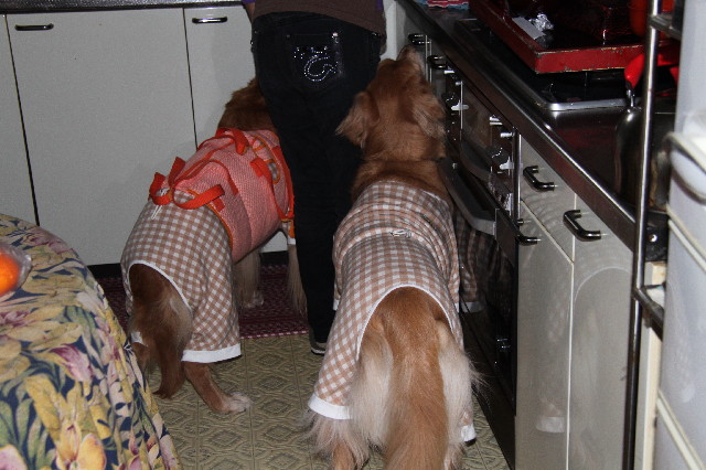 ファイル 2258-5.jpg