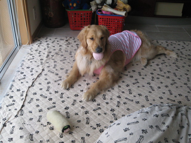 ファイル 226-1.jpg