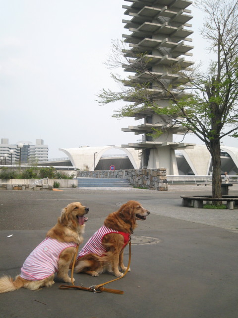 ファイル 226-4.jpg