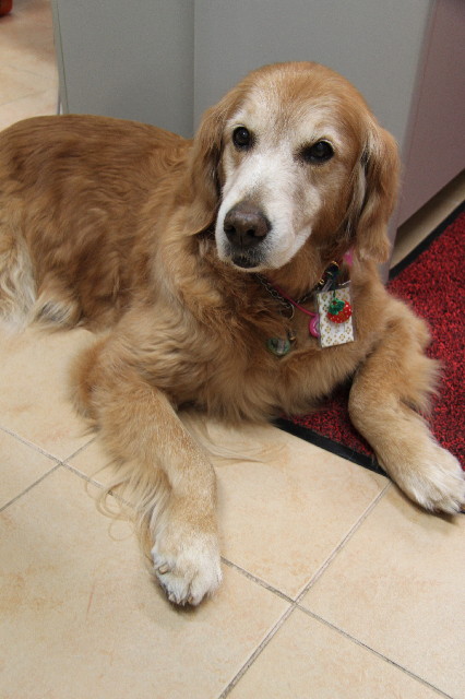 ファイル 2263-2.jpg