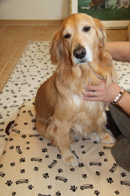 ファイル 2263-3.jpg