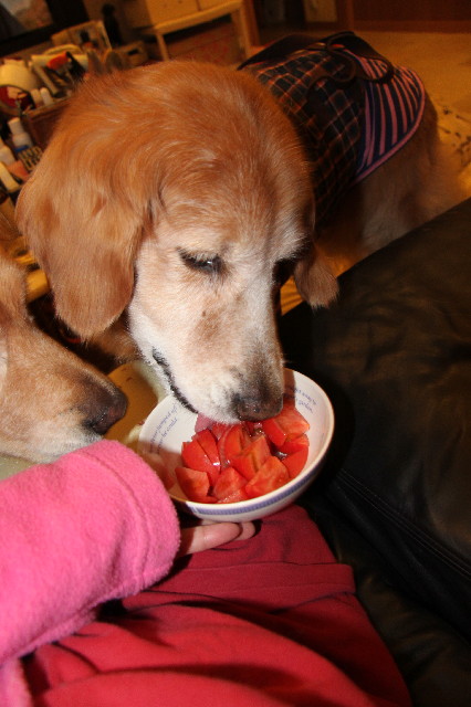 ファイル 2264-1.jpg