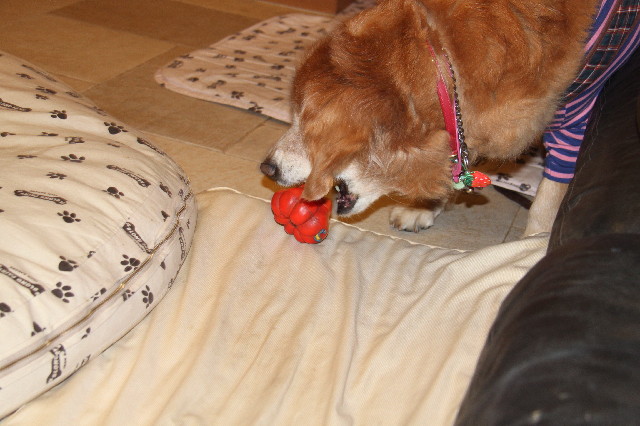 ファイル 2264-3.jpg