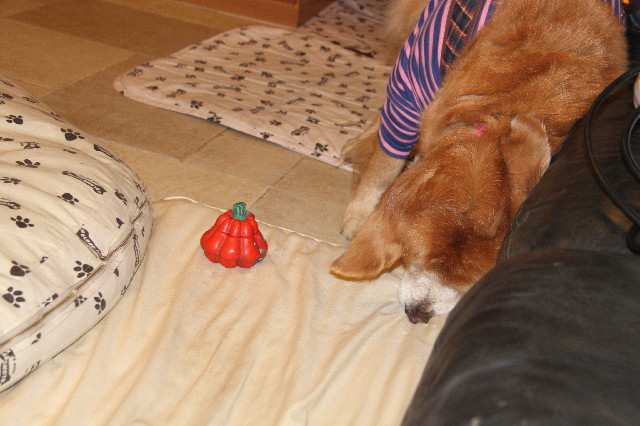 ファイル 2264-4.jpg