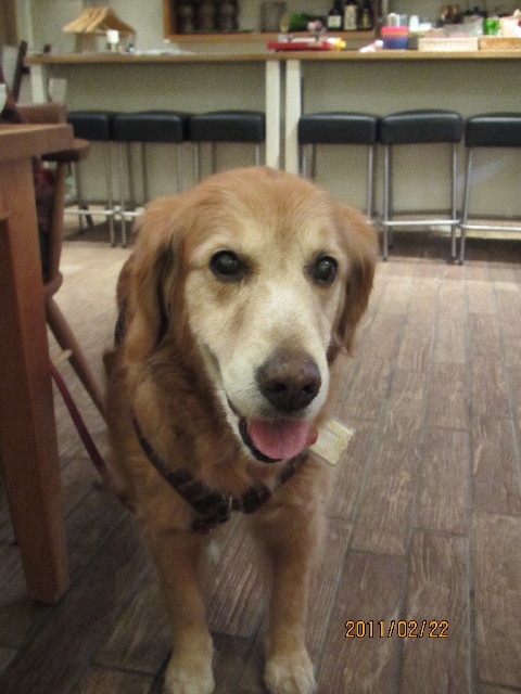 ファイル 2265-1.jpg