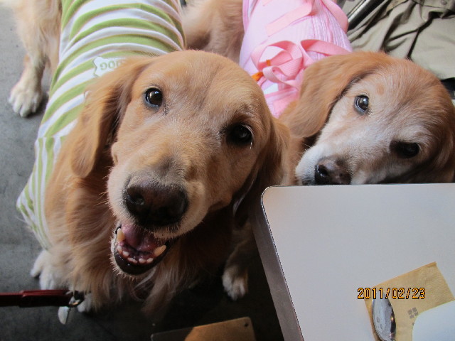 ファイル 2266-4.jpg