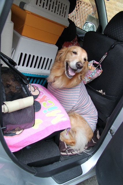 ファイル 2268-1.jpg