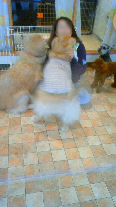 ファイル 2268-3.jpg