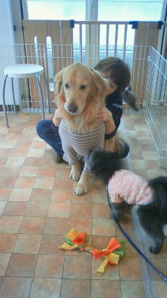 ファイル 2268-4.jpg